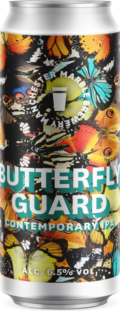 Butterfly Guard